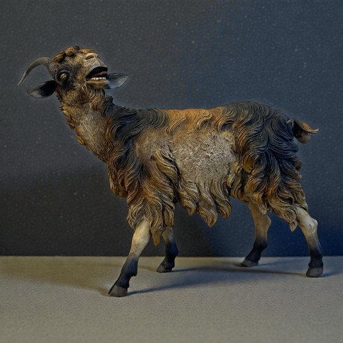 Capra animale presepe - capra, da