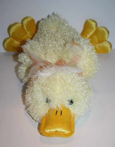 Chosun giallo riccio - chosun, platypus