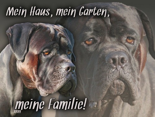 Cane corso cartello per - cartello, cani