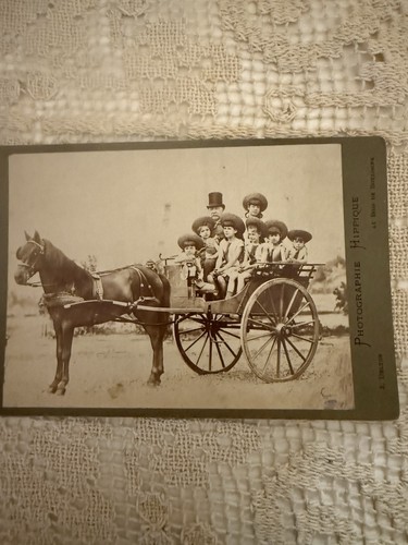 Cabinet card suez diplomat - ,