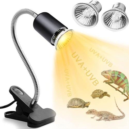 Lampada termica rettile