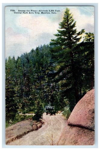 1916 among the pines - pines, crystal