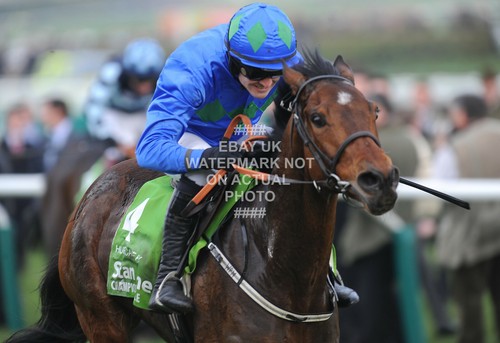 Hurricane fly ruby - hurricane, 2011