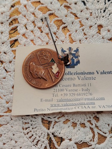 Alpini adunata - alpini, 82°adunata