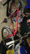 Specialized Rockhopper Vintage