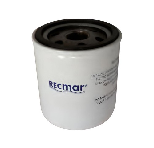 Filtro carburante benzina