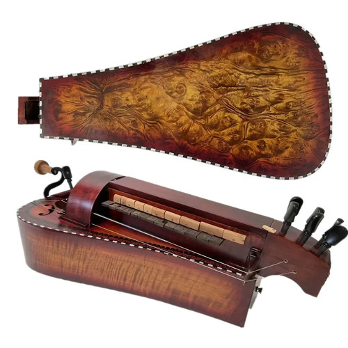 Hurdy gurdy occhio - hurdy,