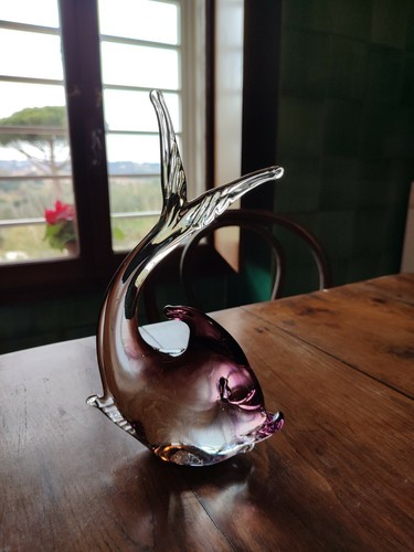 Bellissimo pesce violaceo