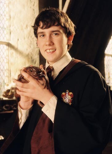 Matthew lewis harry - matthew, potter]