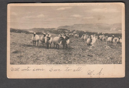 1906 seguendo campana - seguendo,