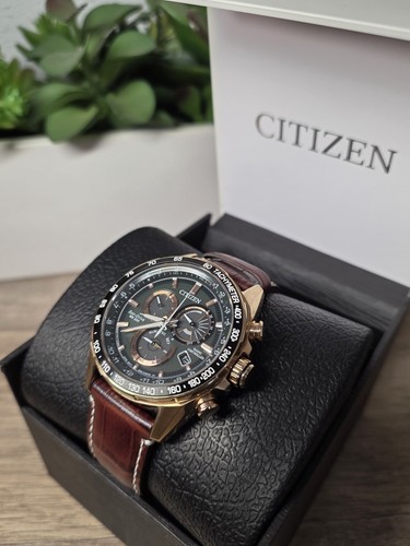 Citizen pcat world time - citizen,