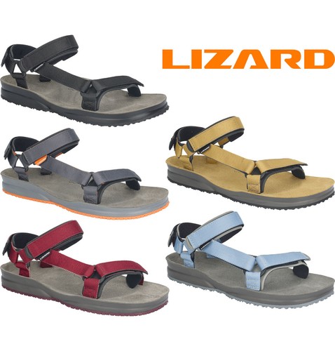 Lizard super hike - lizard,