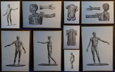 MEDICINA 9 TAVOLE ANATOMICHE-