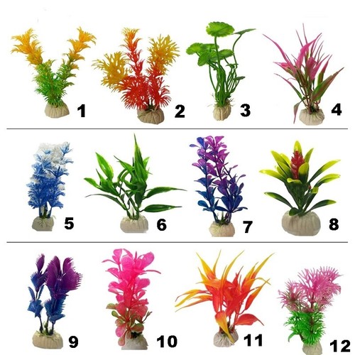 Piante per acquario piante