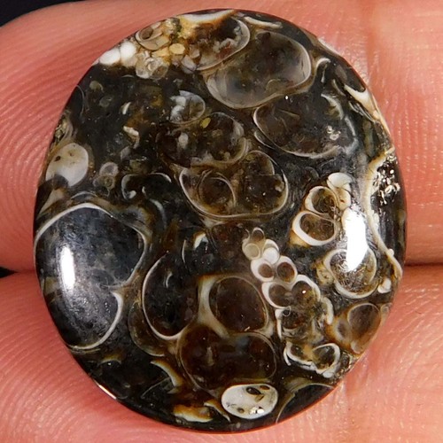 Pietra preziosa - 20,75, ct.