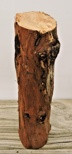 Bastone legno mela 8 - bastone, 8"