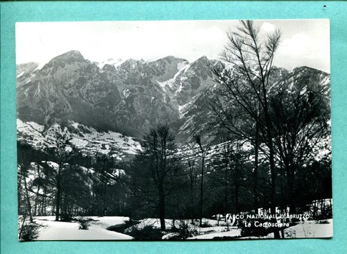 Parco nazionale abruzzo - parco,