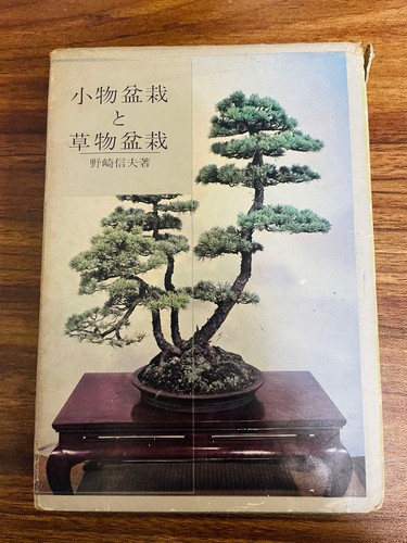Accessorio bonsai piante - accessorio,