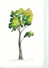 acquerello originale dell'artista italiano Corradi - dipinto su carta 100% cotone