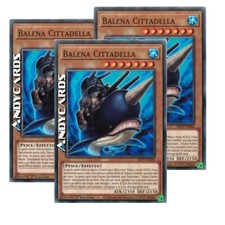 3x BALENA CITTADELLA •