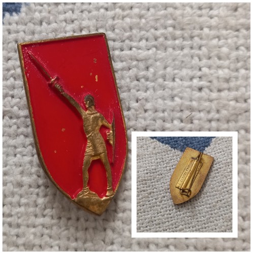 Spilla uniforme divisione - spilla,