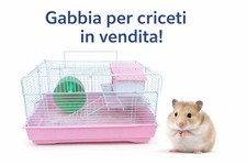 Gabbia per criceti 38x26x23h - criceti,