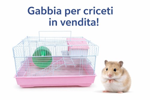 Gabbia per criceti 38x26x23h - per,