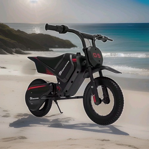 Moto elettrica per - moto,