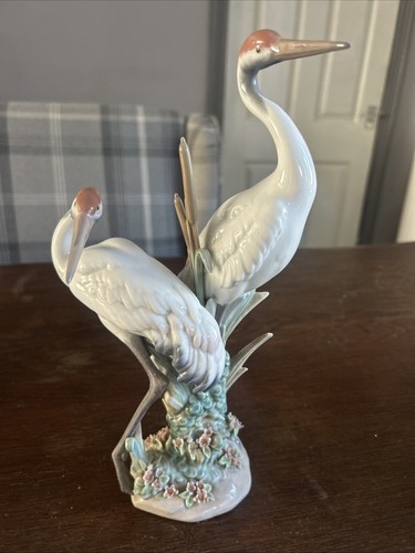 Gru corteggio lladro - da,