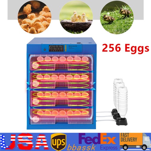 Incubatrice per uova 256