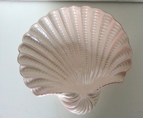 Conchiglia rosa chiaro - rosa,