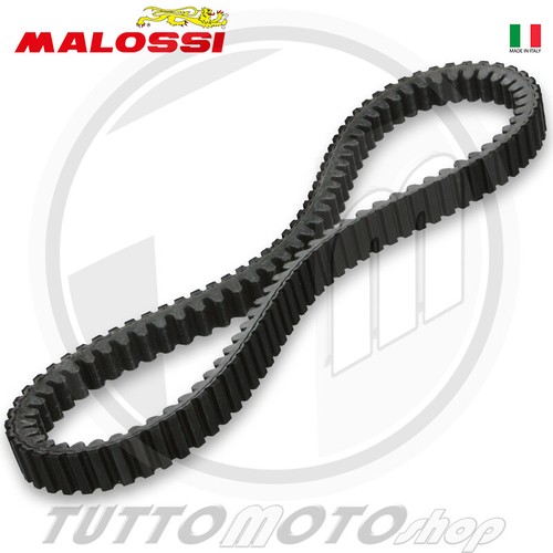 Cinghia interna variatore - cinghia,