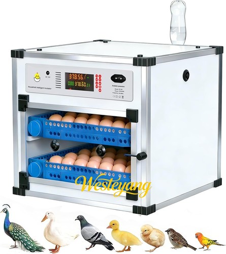 Incubatrice completamente