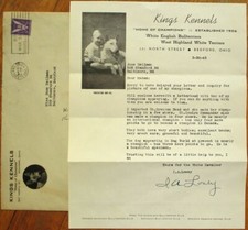 Bull Terrier Dog 1943