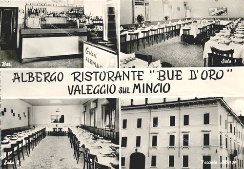El258 cartolina valeggio sul - valeggio,