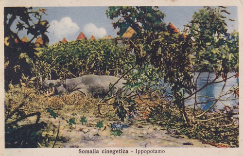 Cartolina colonie somalia - cartolina, ex