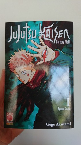 Jujutsu kaisen sorcery fight - jujutsu,