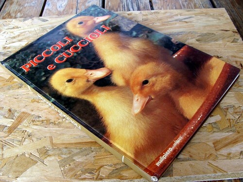 120 piccoli cuccioli - piccoli,