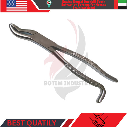 Pinza estrazione denti - , anatra