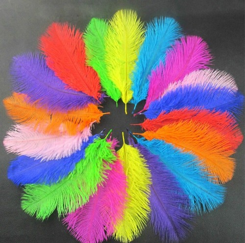 10pcs piume struzzo 8 - piume,