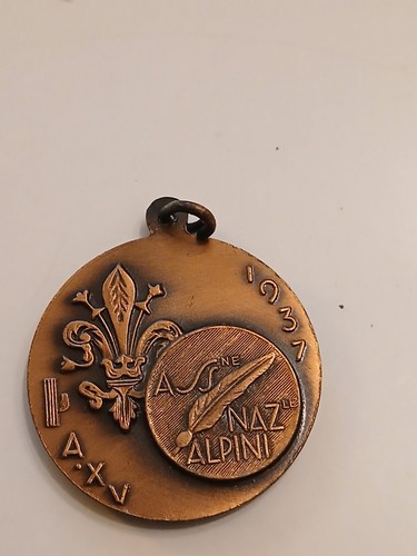 Medaglia adunata alpini - adunata,