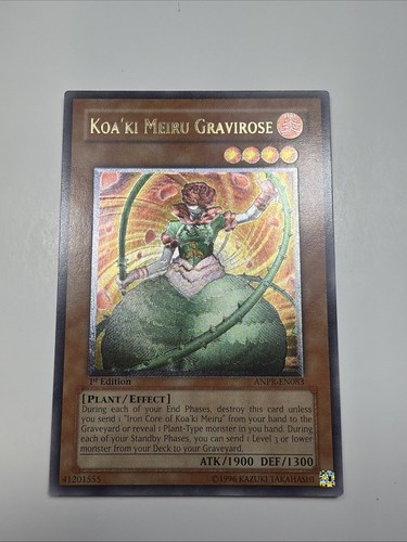Koa meiru gravirose - gravirose, (utr)