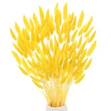 180-Pack Bunny Tails Grass 17