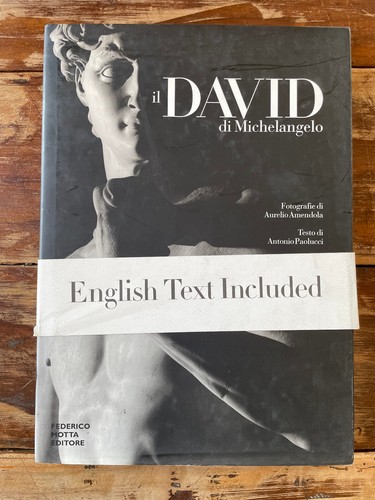 David michelangelo - il,