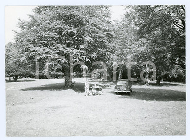 1979 subiaco picnic - 1979,
