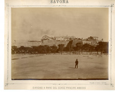 A. Plant. Italy, Savona