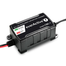 Caricabatterie everActive