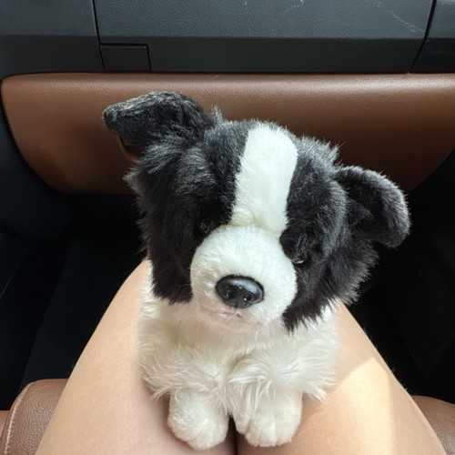 Peluche chase border - chase,