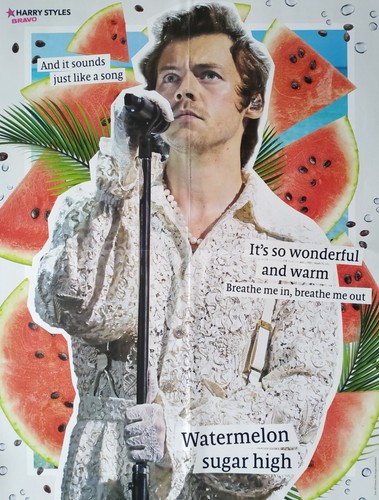 Harry styles poster - harry,