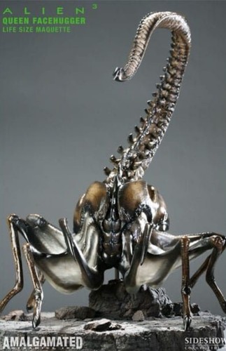 Sideshow alien facehugger - sideshow,